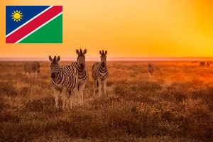 Währung und Zahlungsmittel in Namibia
